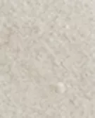 本白色
