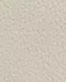 沙色