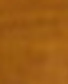 棕色