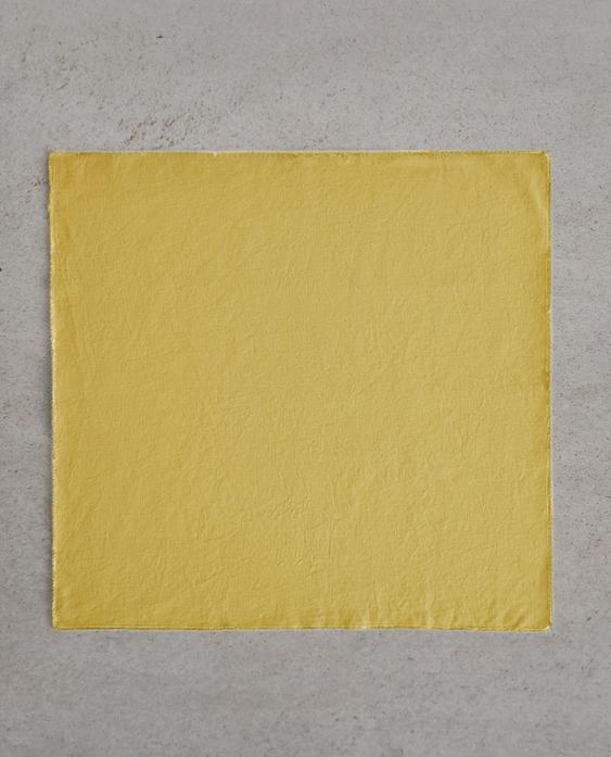 NAPKIN 01