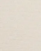 本白色