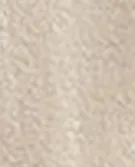 沙色