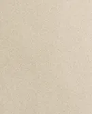本白色