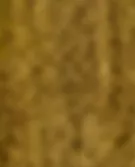 金色