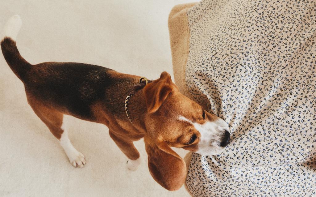 FLORAL PET BLANKET