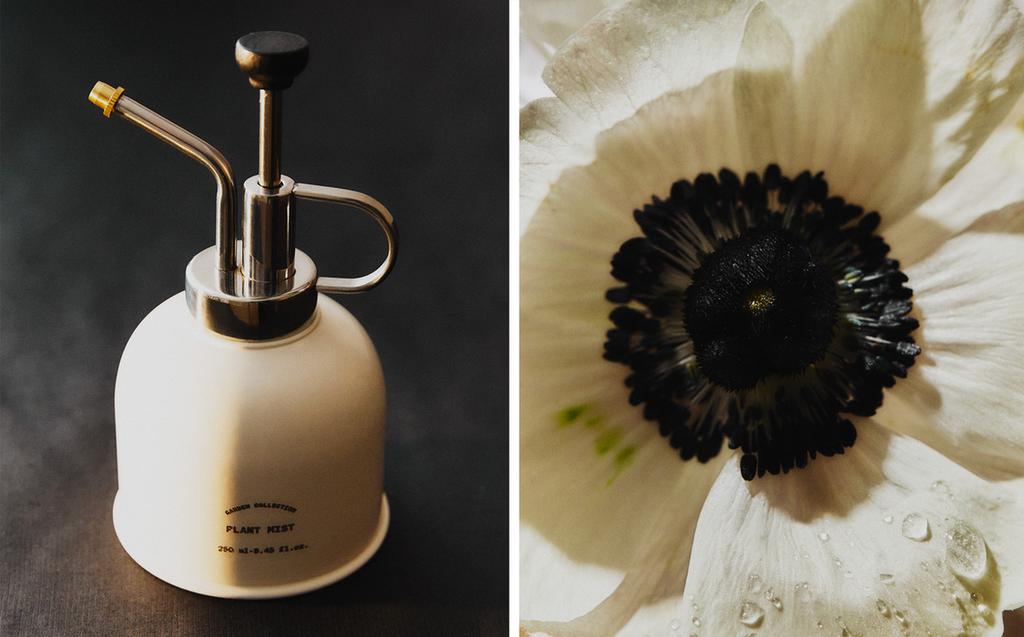 STEEL GARDEN SPRAYER