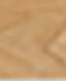 浅米色