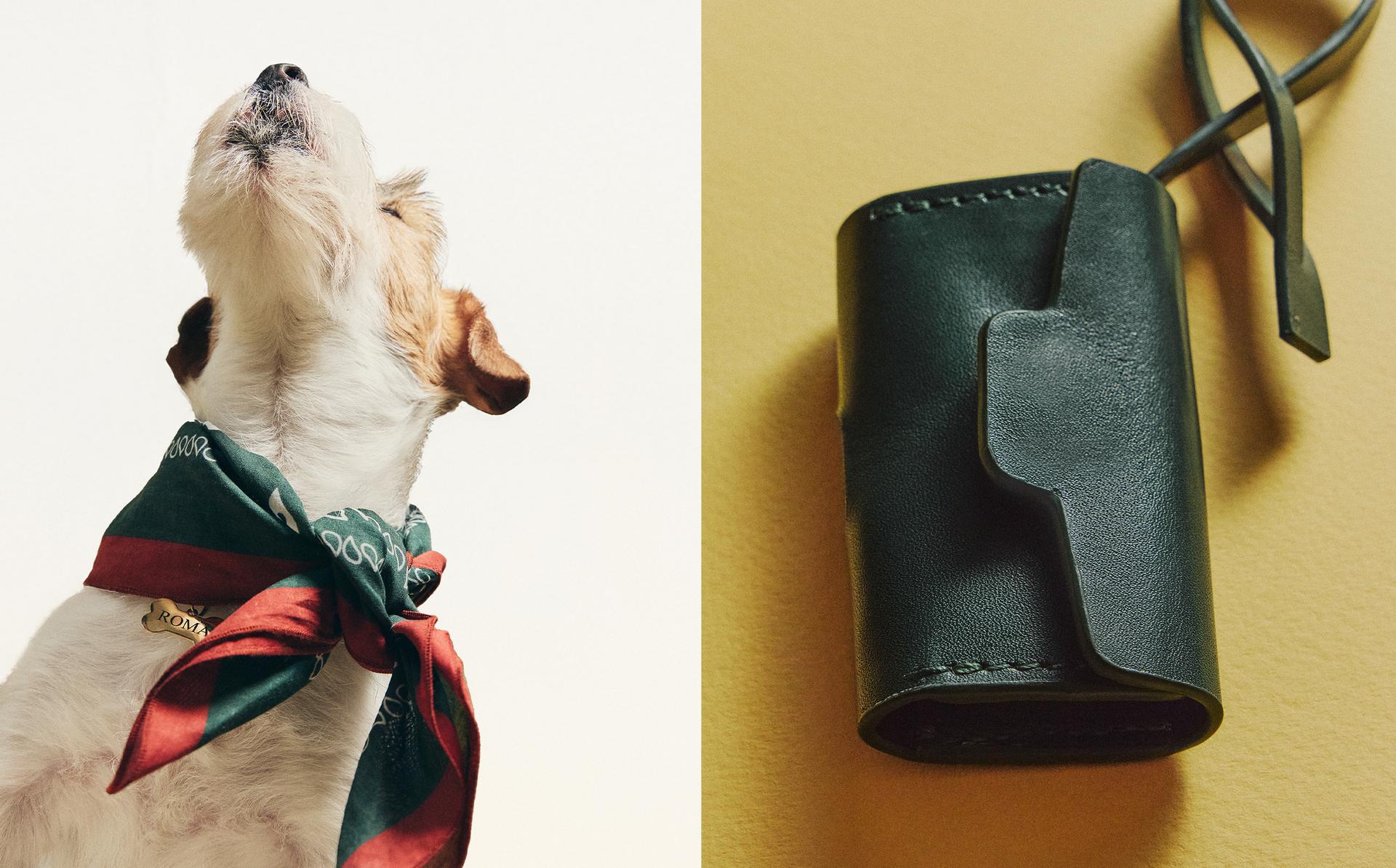 宠物围巾和拾便袋分配包