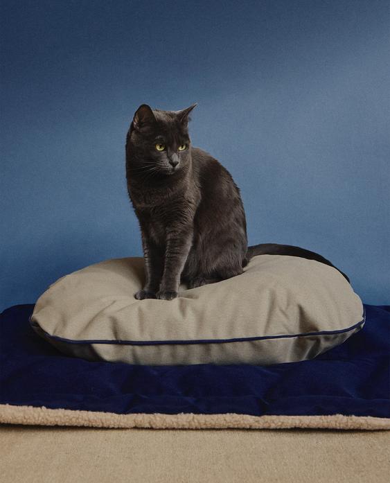 椭圆形宠物靠垫