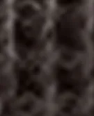 棕色