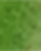 绿色
