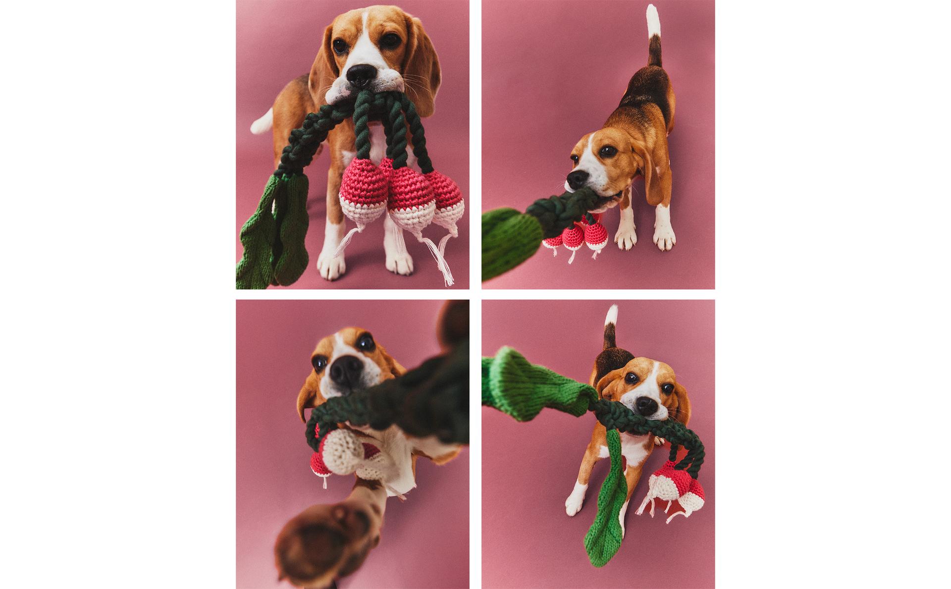 PET TOY WITH BUNCH OF RADISHES