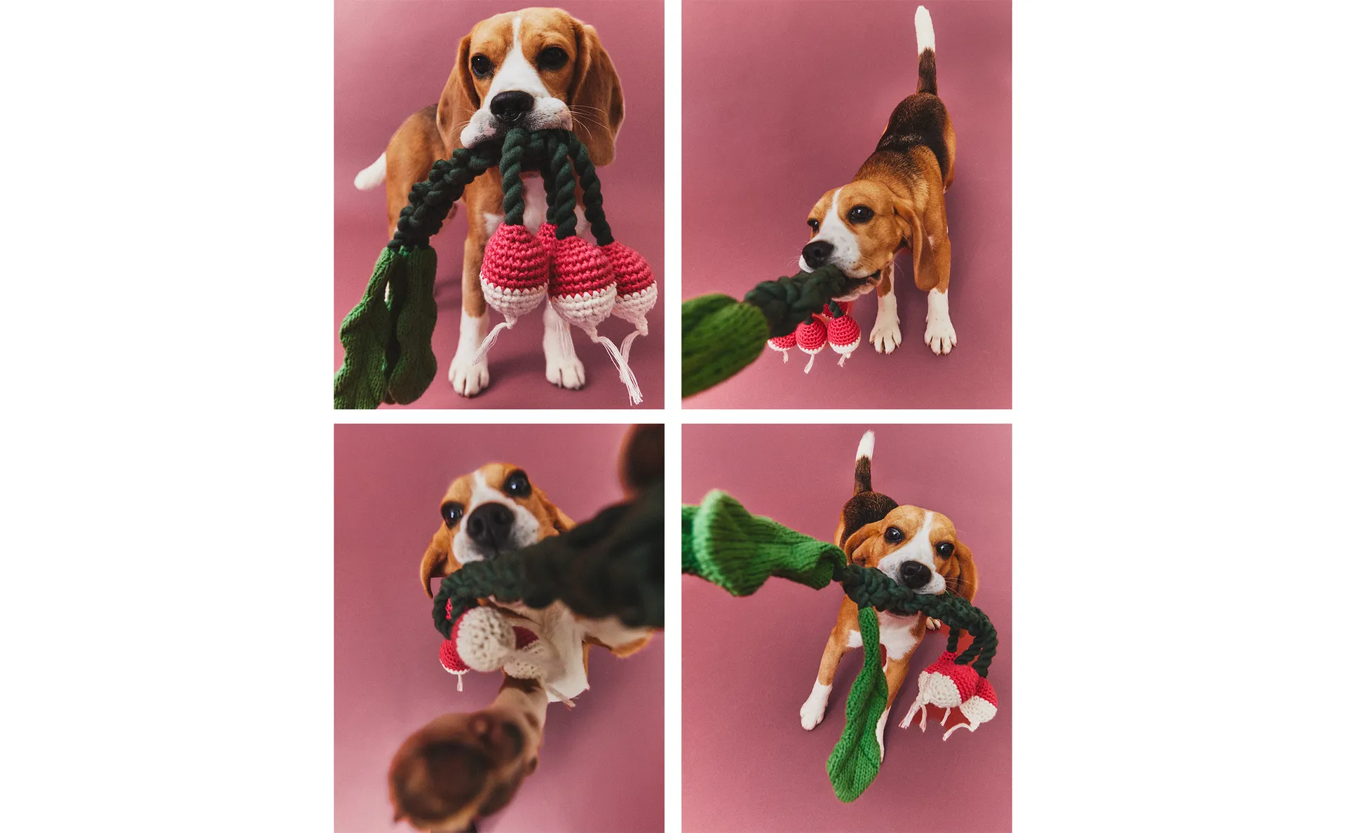 PET TOY WITH BUNCH OF RADISHES