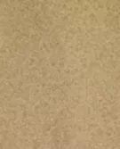 绿色