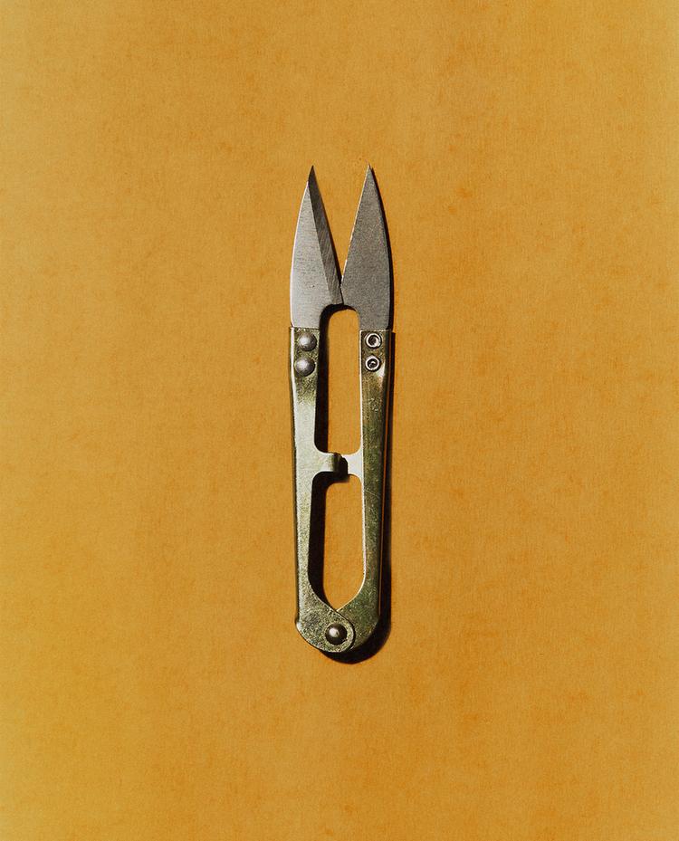 GARDEN CUTTING SHEARS
