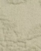 绿色