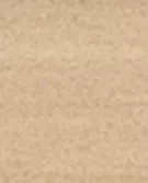 浅米色