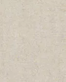 淡褐色