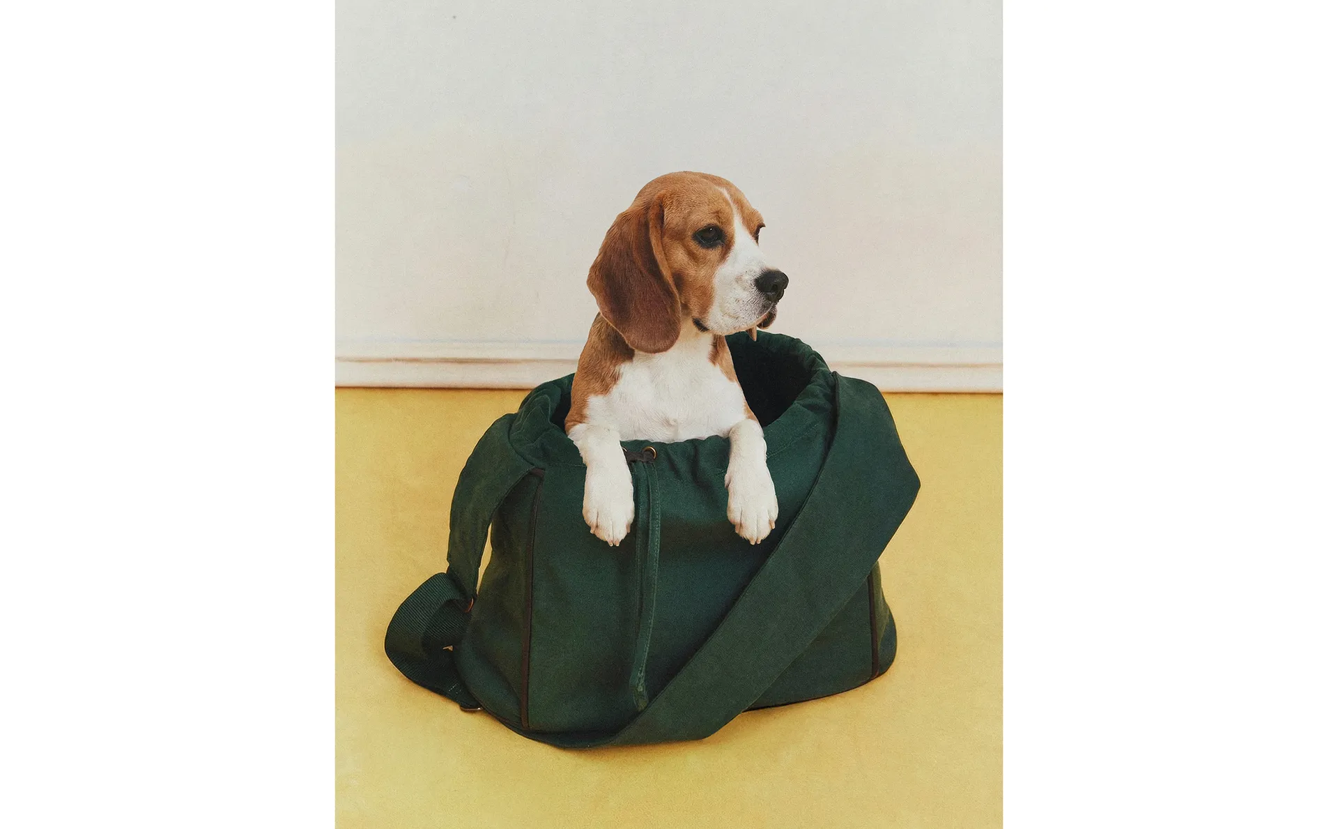 COTTON PET CARRIER