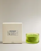 (500 G) LIME & PEPPERMINT 香氛蜡烛