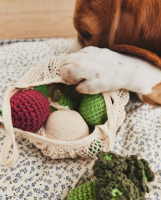 PACK OF VEGETABLE PET TOYS
