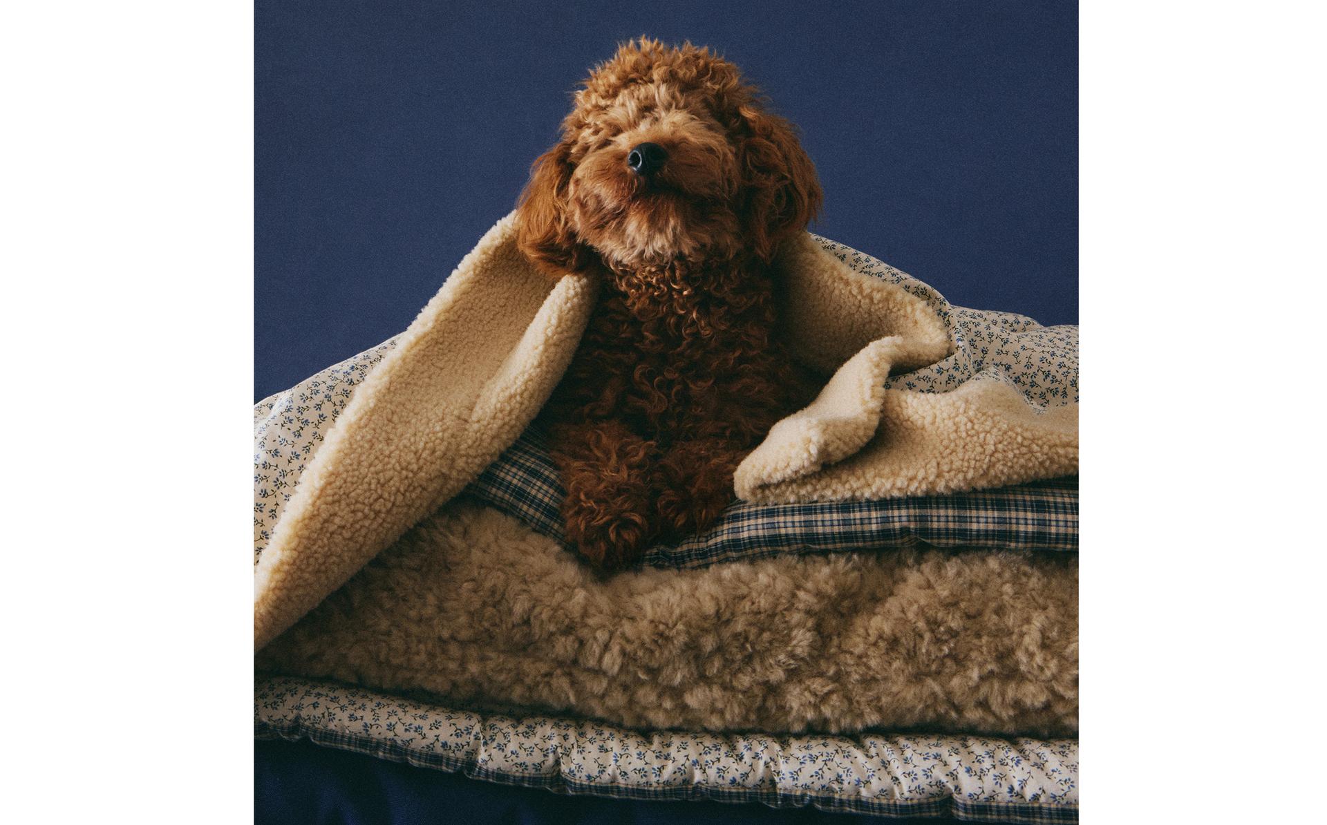 GINGHAM PET ACCESSORIES