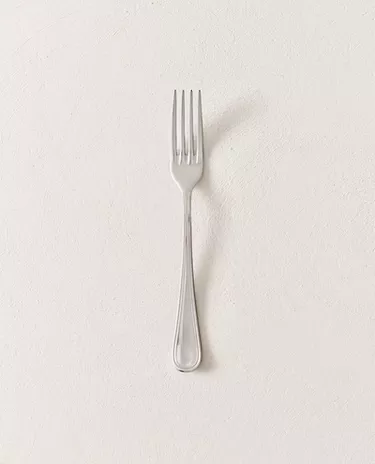 SHINY STEEL FORK