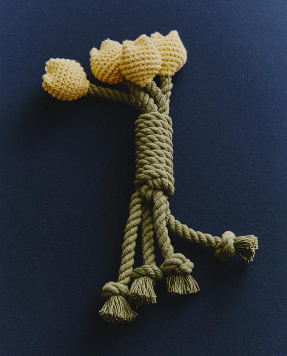 郁金香花束宠物玩具