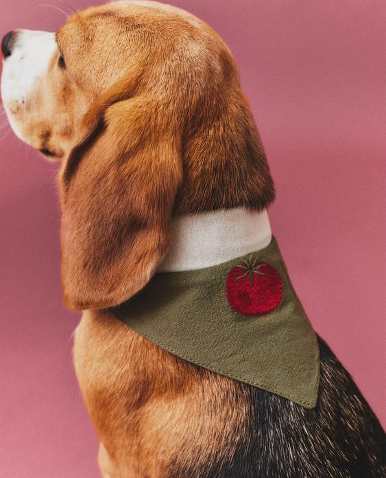 REVERSIBLE TOMATO PET BANDANA