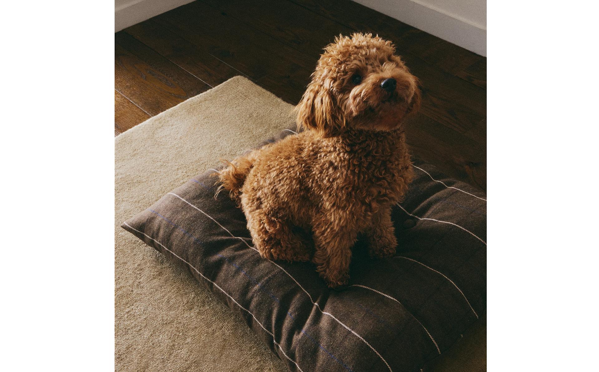 REMOVABLE PET FLOOR CUSHION REMOVABLE PET FLOOR CUSHION