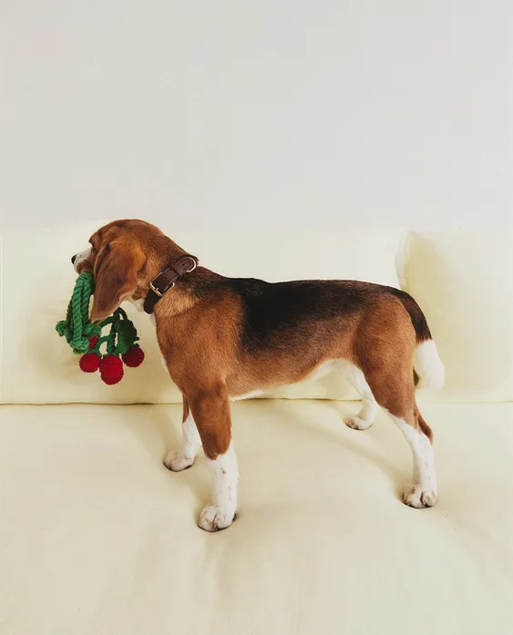 VINE TOMATO PET TOY