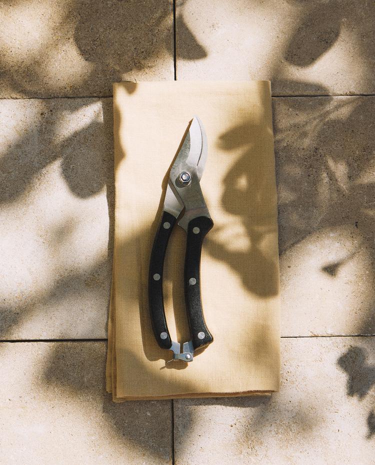 GARDEN SCISSORS