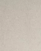 淡褐色