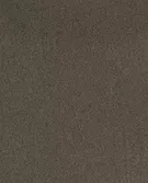 TAUPE BROWN