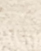 沙色