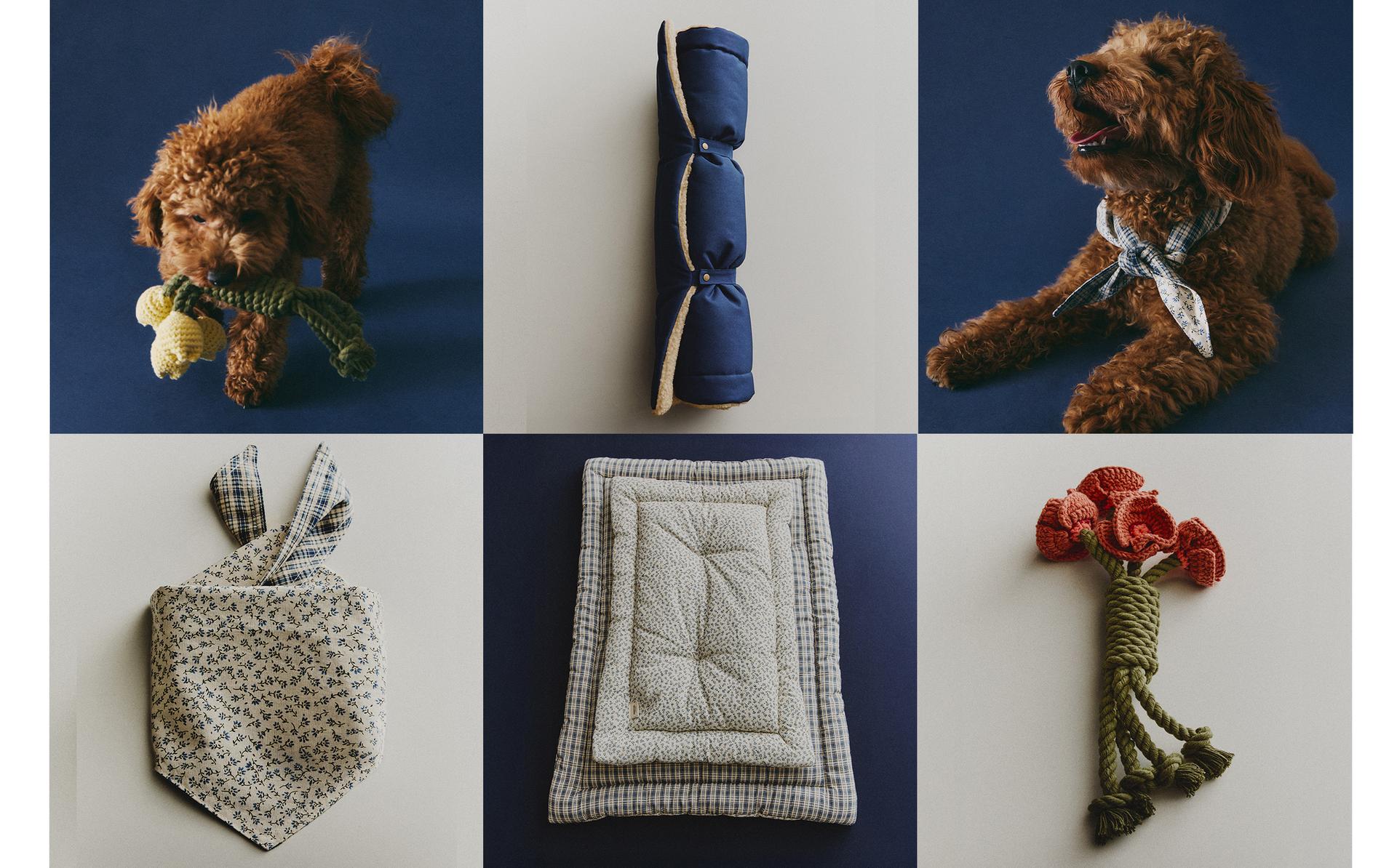 FLORAL PET ACCESSORIES AND BOUQUET TOY FLORAL PET ACCESSORIES AND BOUQUET TOY