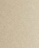 奶油色