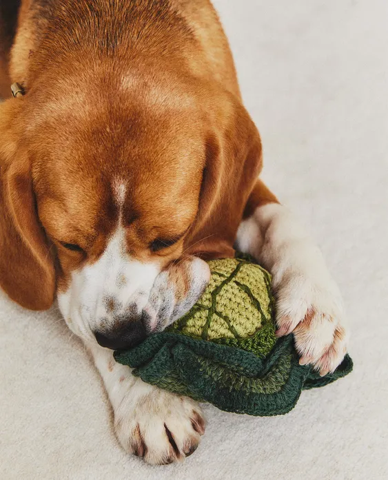 LETTUCE PET TOY