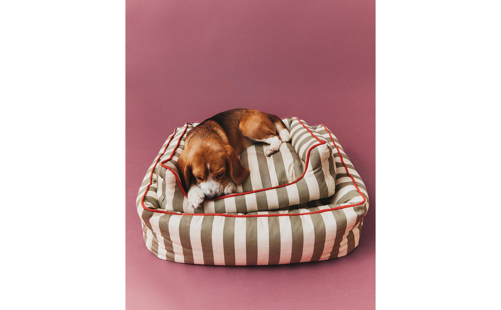 STRIPED PET BED WITH PIPING
