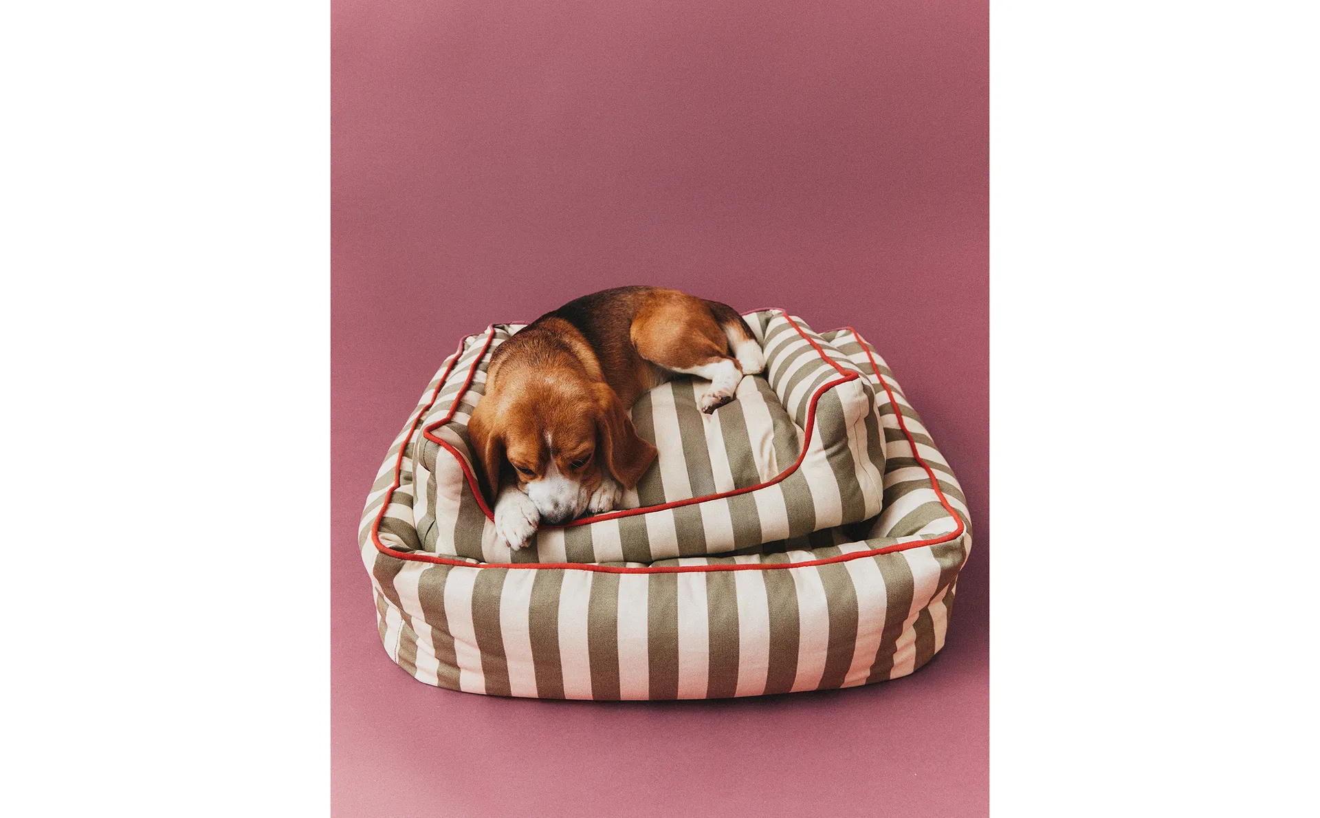 STRIPED PET BED WITH PIPING
