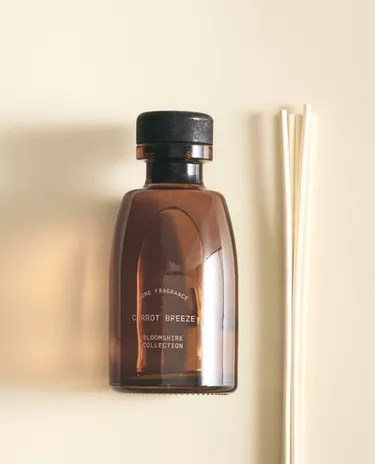 (100 ML) CARROT BREEZE REED DIFFUSERS