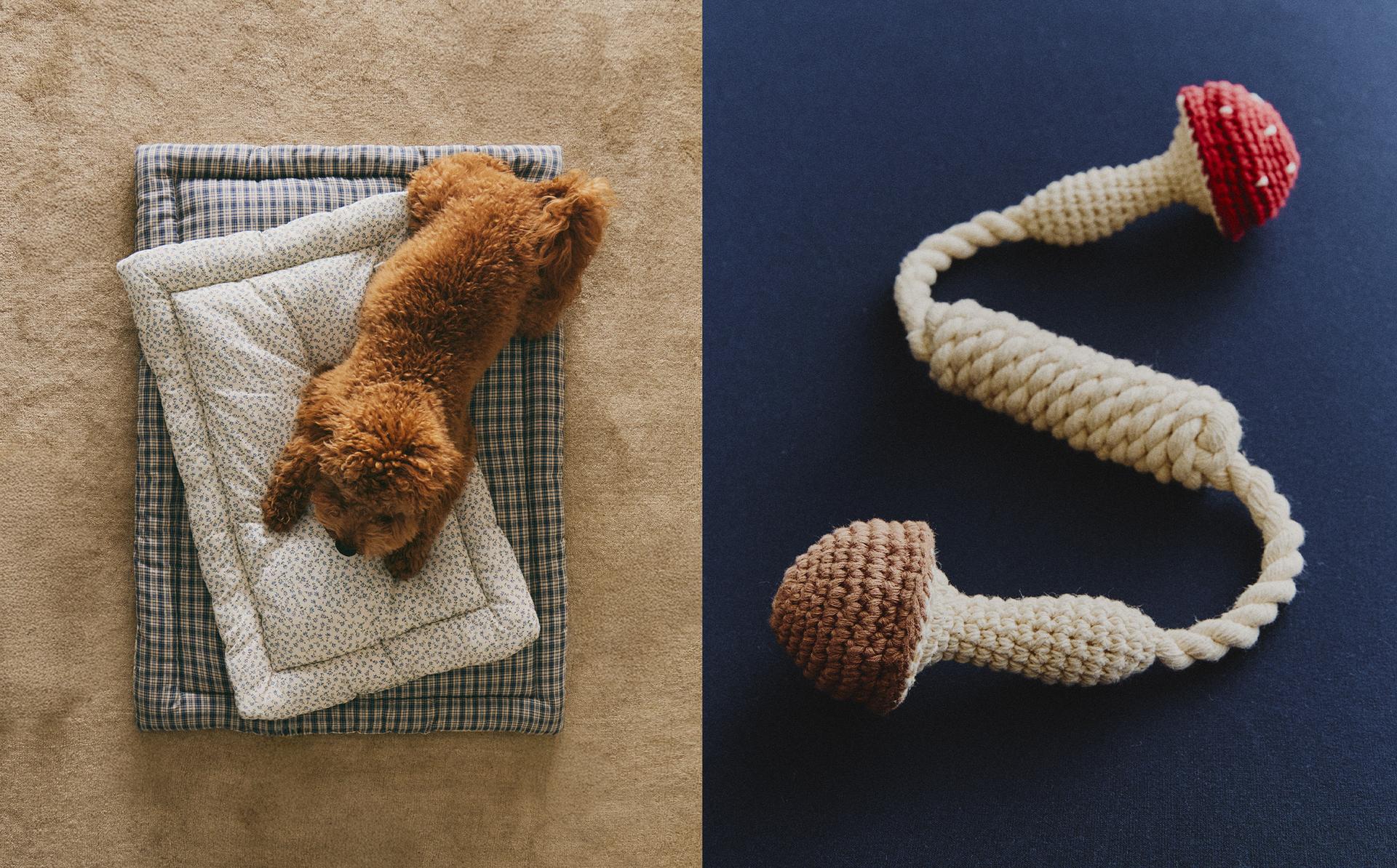 CHECK AND FLORAL TOPPER AND PET MUSHROOM TOY