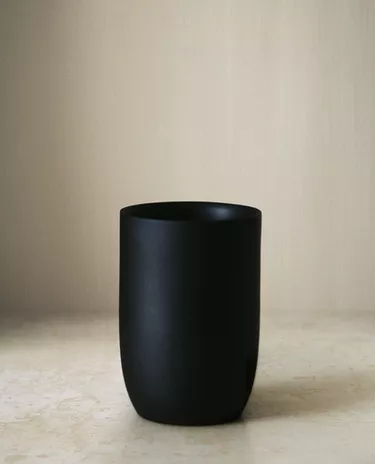黑色树脂牙刷杯