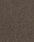 煤灰色