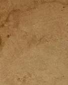 浅米色