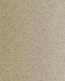奶油色