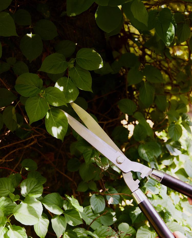 SHORT GARDEN HEDGE SCISSORS