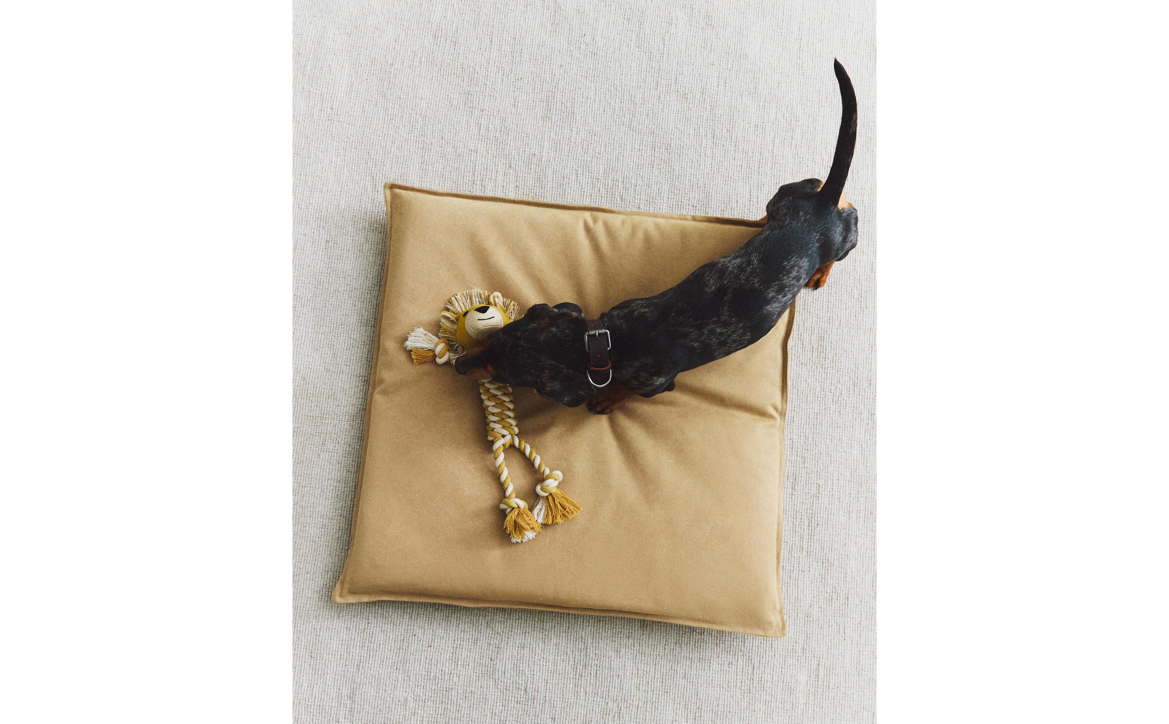 SQUARE PET CUSHION