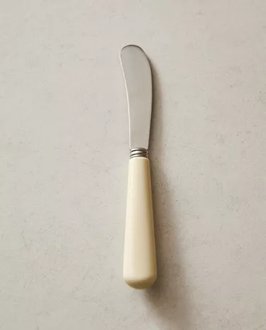 BUTTER KNIFE WITH COLOURED HANDLE